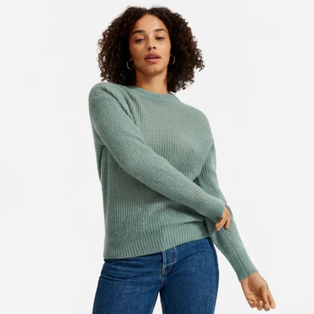 Everlane Alpaca Sweater in Pomona Green (XS)